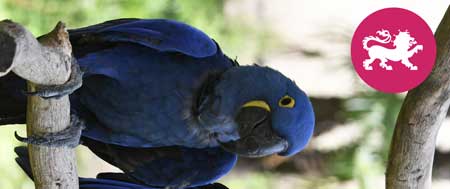 Abbildung: Geschenkverpackung Zoo 02